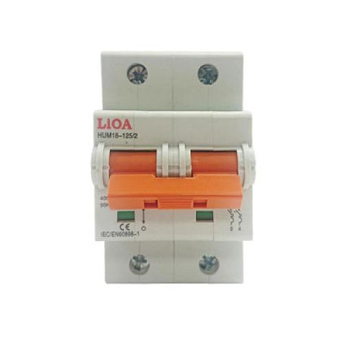 Cầu dao đóng cắt tự động LIOA MCB (APTOMAT) Loại khối 2 pha
