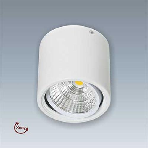 Đèn LED Downlight âm trần Anfaco AFC 647